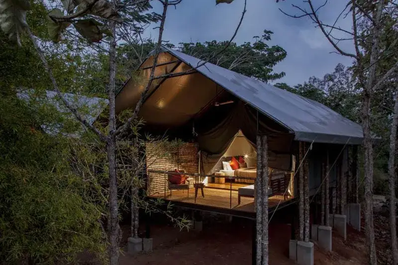 Kaav Safari Lodge, Kabini